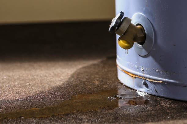 Best Flood damage cleanup  in Belleview, FL