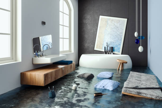 Best Water damage cleanup near me  in Belleview, FL