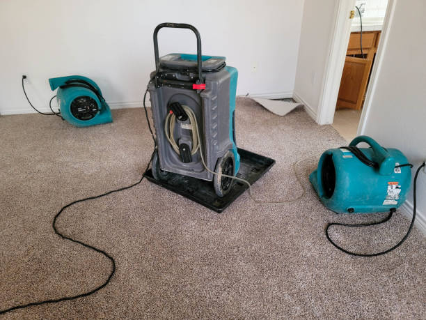 Best Emergency water damage restoration  in Belleview, FL