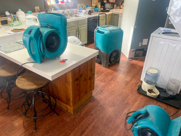 Best Local water damage restoration  in Belleview, FL