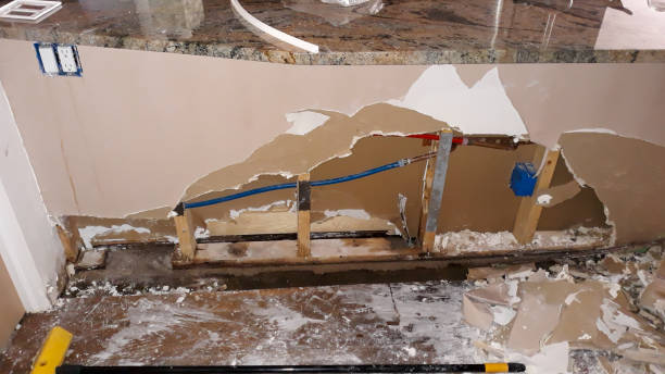 Best Basement water damage restoration  in Belleview, FL