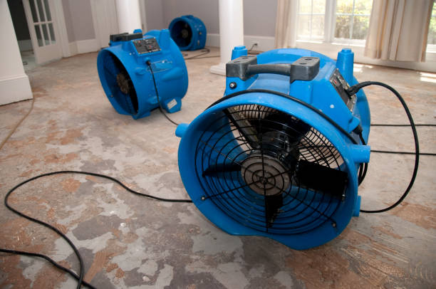 Best Residential water damage restoration  in Belleview, FL
