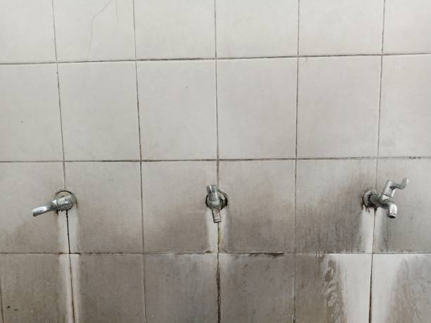 Best 24/7 water damage repair  in Belleview, FL