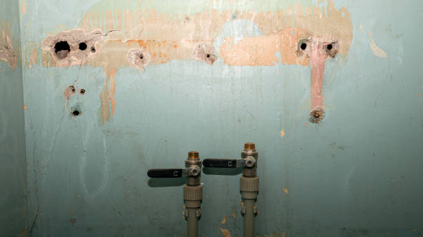 Best 24-hour water damage restoration  in Belleview, FL